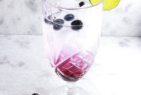 Vibrant Berry Refresher