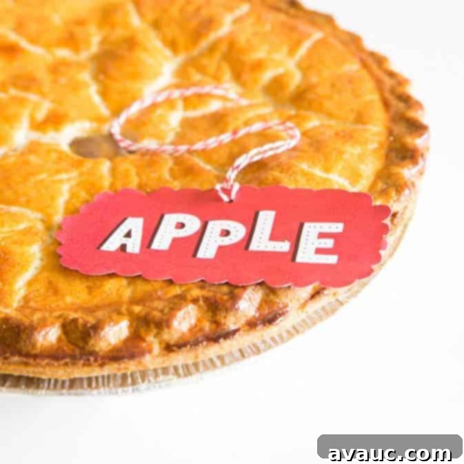 featured 13347