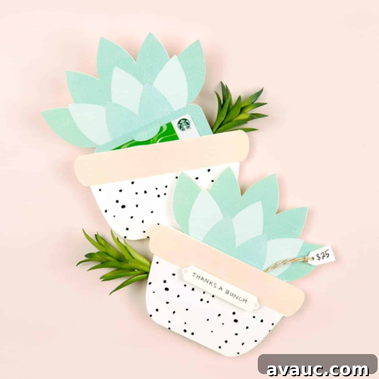 featured 15509