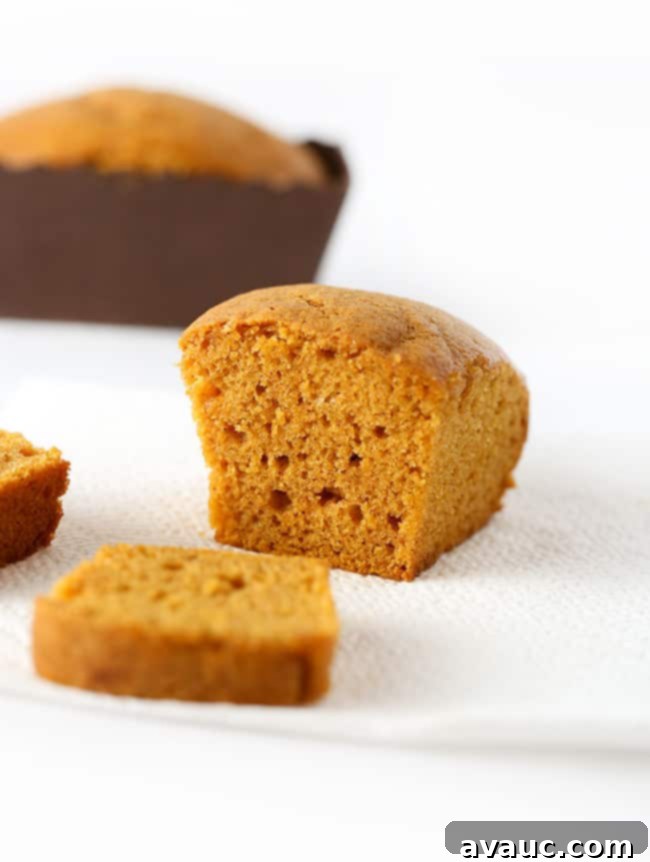 Mini Pumpkin Bread Loaves Recipe Plus Free Gift Tags 3 Moist pumpkin bread mini loaf pan recipe in various mini paper pans
