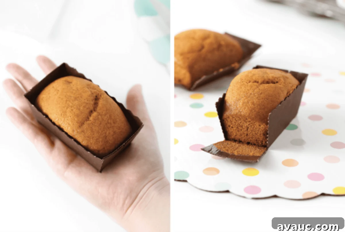 Mini Pumpkin Bread Loaves Recipe Plus Free Gift Tags 8 Comparison of mini loaf pan sizes for pumpkin bread, highlighting the tiny pans.