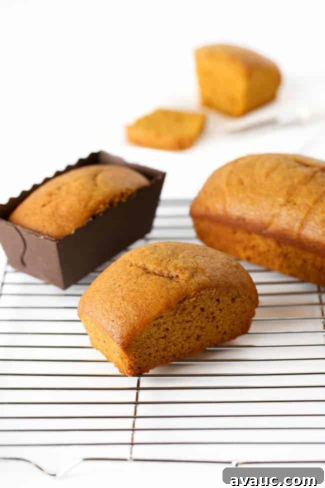 Mini Pumpkin Bread Loaves Recipe Plus Free Gift Tags 9 Array of mini pumpkin bread loaves and muffins showing versatility of the recipe.