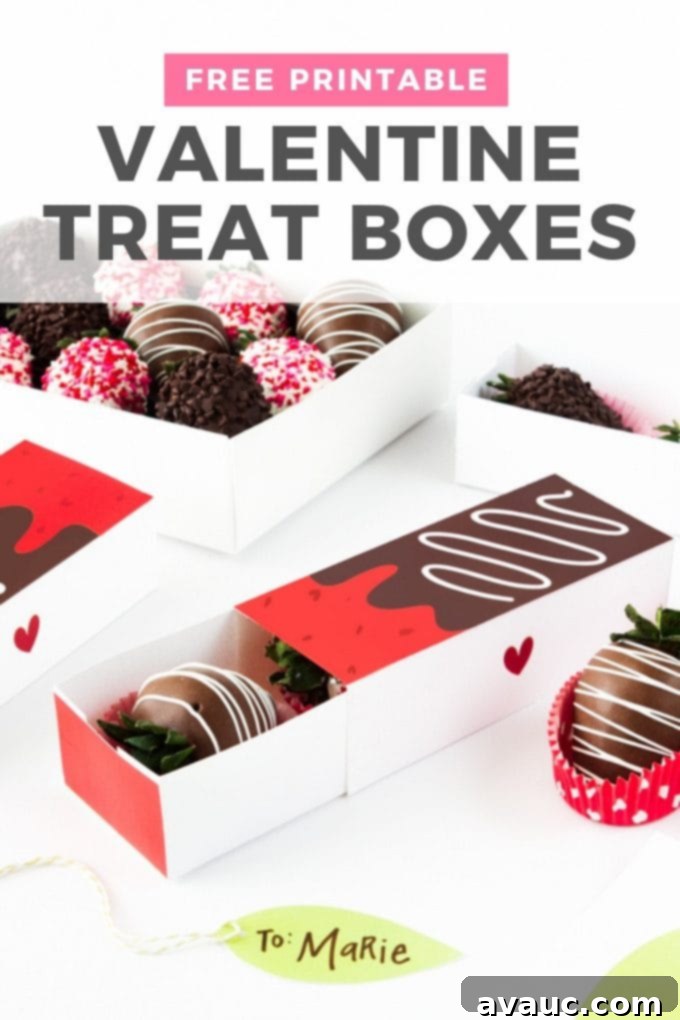 Free Printable Valentine's Gift Boxes for Treats and Favors