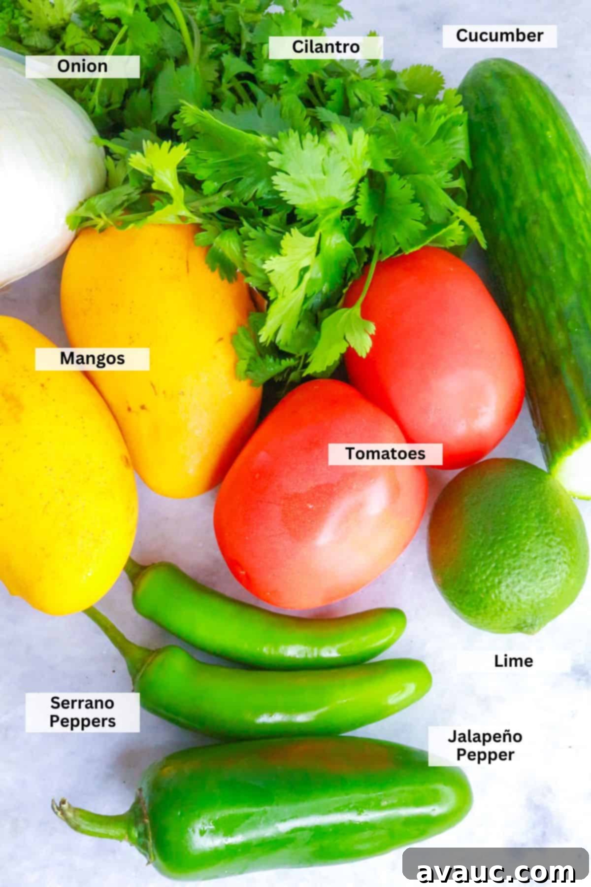 Ingredients for Mango Pico de Gallo: cilantro, onion, cucumber, tomatoes, mangos, lime, serrano peppers, jalapeño pepper