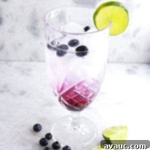 Vibrant Berry Refresher 12 Tall glass with blueberry mocktail garnished with blueberries and lime, a perfect summer drink
