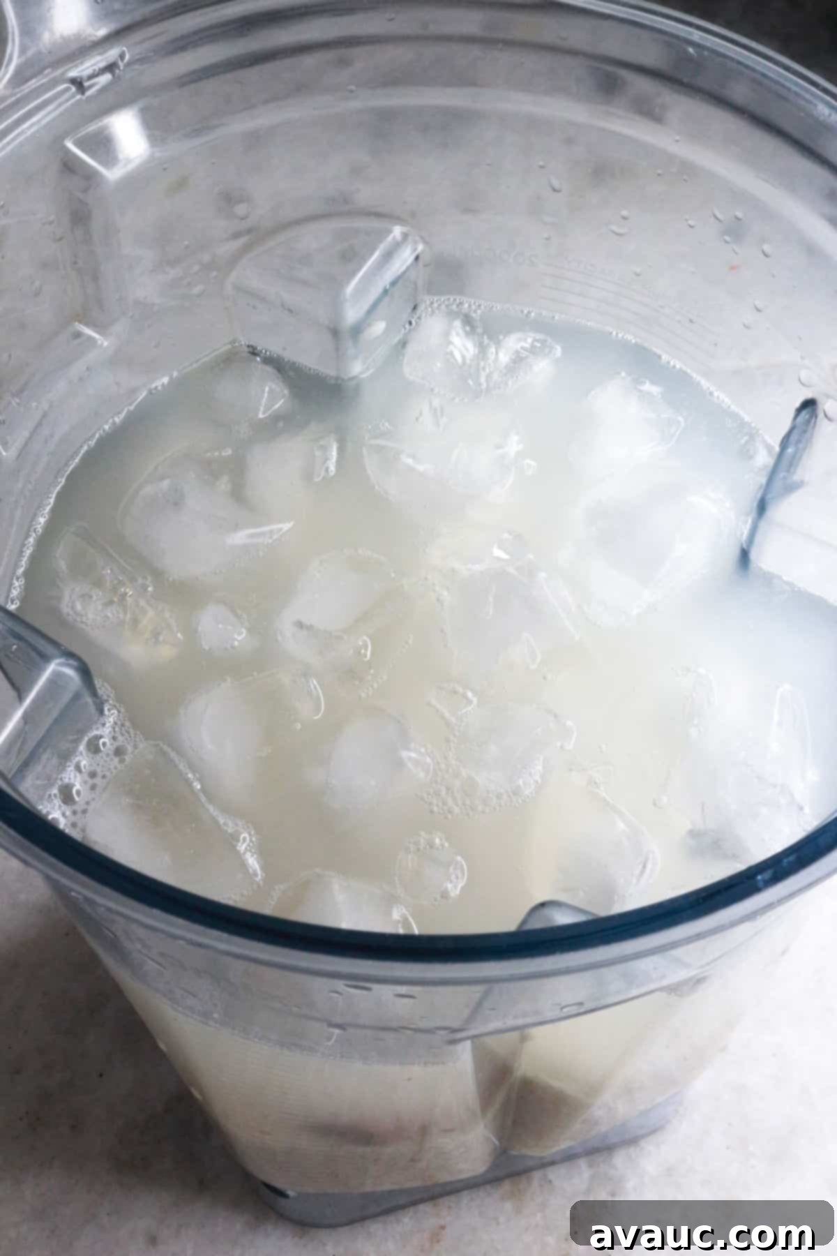 Cooling Horchata Delight 5 Soaked rice, cinnamon stick, water, and ice cubes in a blender, ready for blending into horchata.