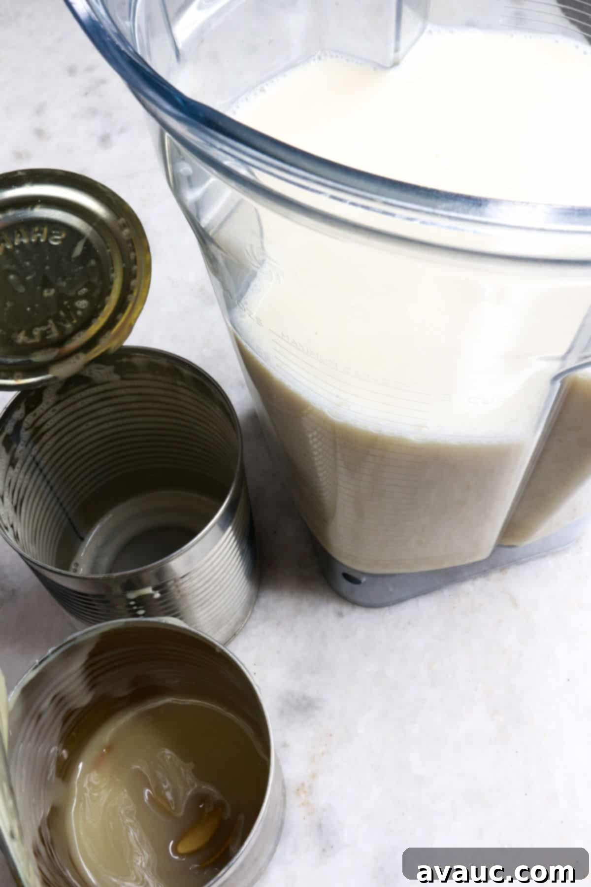 Fresh Banana Drink 4 Blender filled with water, sweetened condensed milk, and evaporated milk