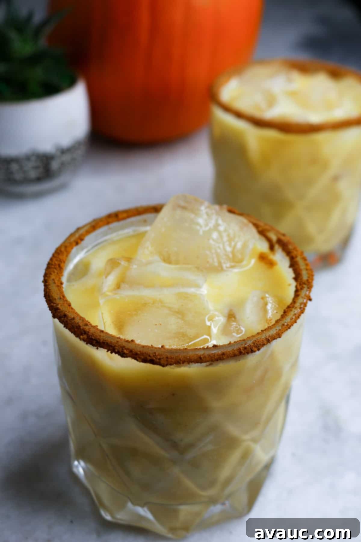 Fall Pumpkin Spice Horchata 9 A tall, clear glass of Spiced Pumpkin Horchata, garnished with a sprinkle of cinnamon