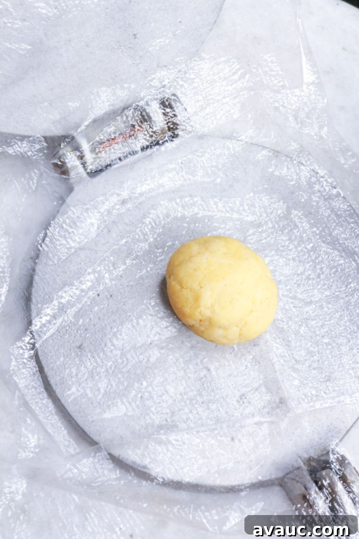 gluten-free empanada dough ball on a tortilla press covered with plastic