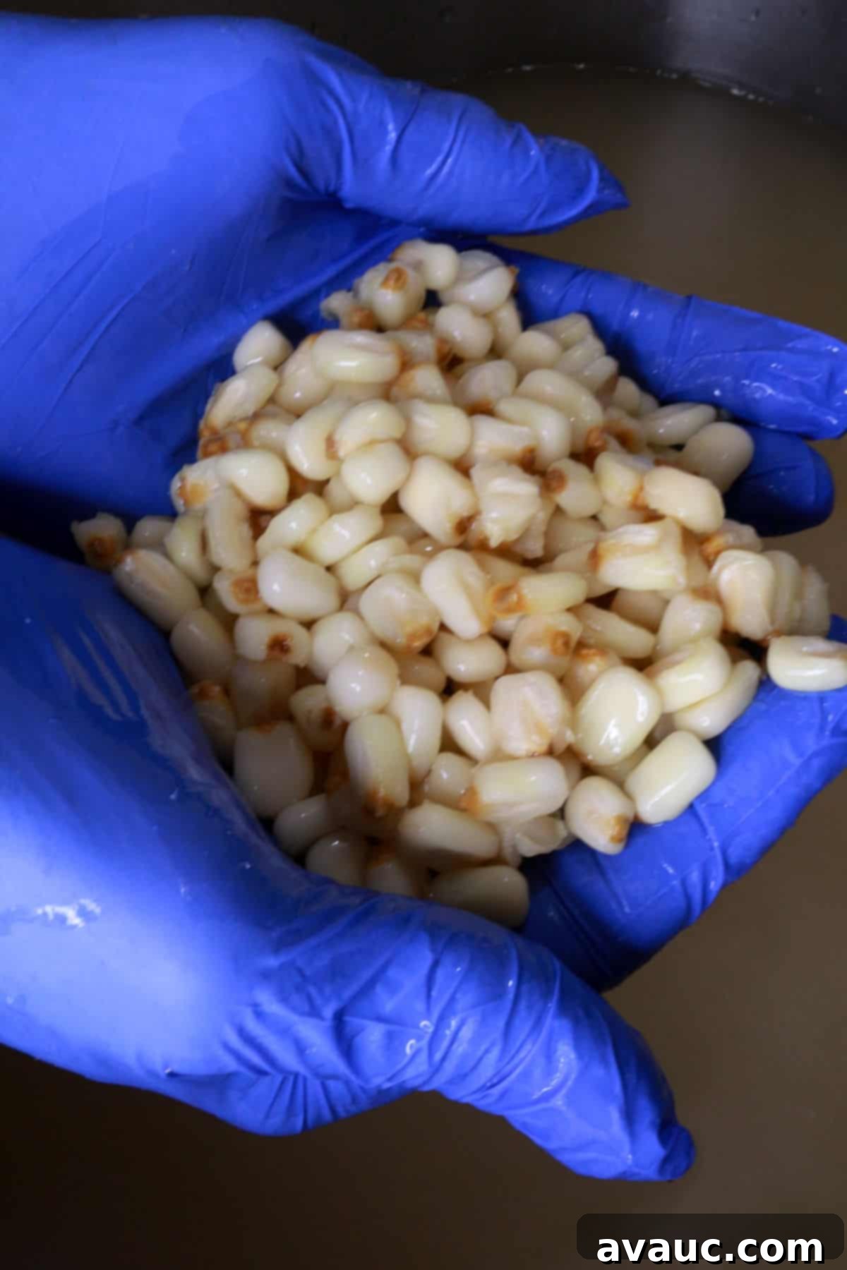 Mastering Nixtamalization for Authentic Tamales 6 Cooked corn kernels steeping in the alkaline solution, ready for the next stage of nixtamalization.