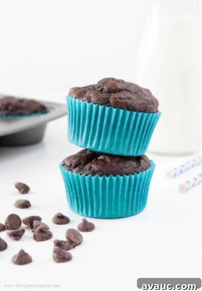 Delicious Double Chocolate Protein Muffins made with whole wheat flour