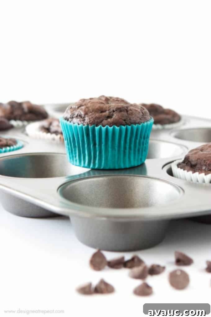 Homemade Double Chocolate Protein Muffins - a healthy, oil-free option!