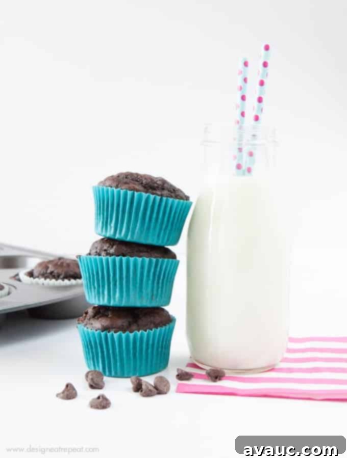 Homemade Double Chocolate Protein Muffins with wholesome ingredients