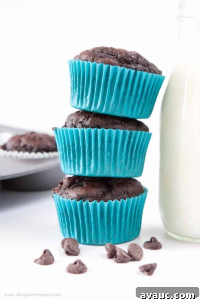Double Chocolate Protein Muffins - best served warm for melty chocolate