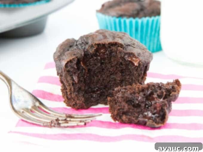Warm Double Chocolate Protein Muffins - oil-free and delicious!