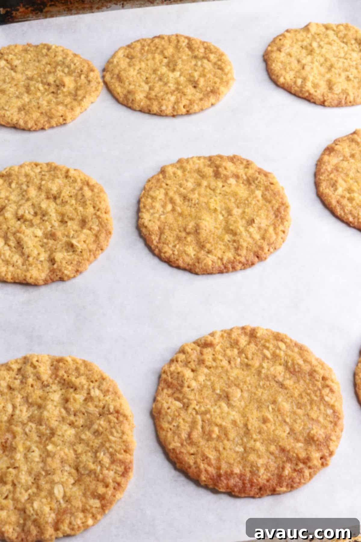 Freshly baked coconut flour oatmeal cookies on a cookie sheet, golden brown and cooled.