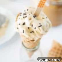 Artisan Peanut Butter Gelato 6 Creamy Peanut Butter Gelato