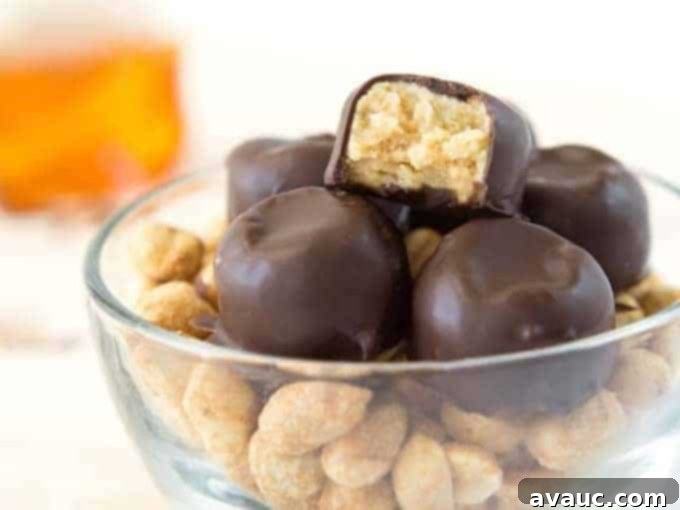 Effortless Peanut Butter Treats 8 A close-up of a hand holding a chocolate-covered no-bake peanut butter bite, inviting a delicious experience.