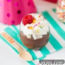 Decadent Homemade Chocolate Pudding 6 Close-up of a serving of homemade chocolate pudding, garnished with fresh raspberries.