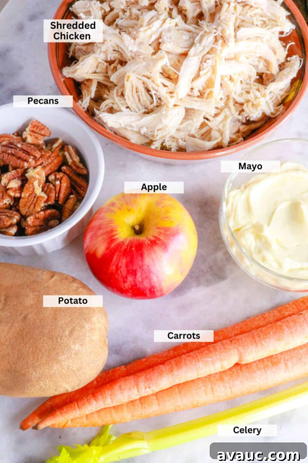 Fiesta Chicken Salad 4 Ingredients for ensalada de pollo: shredded chicken, pecans, apple, mayo, potato, carrots, celery