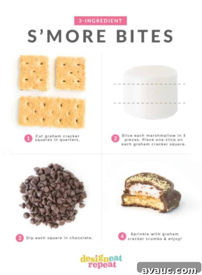 Switch up a summer classic with these easy S'more Bites! With just 3 simple ingredients, these bite-sized treats are the perfect addition to a summer party!