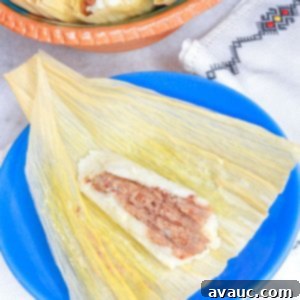 Savory Refried Bean Tamales 16 Tamales de Frijol, with one open bean tamal on a blue plate