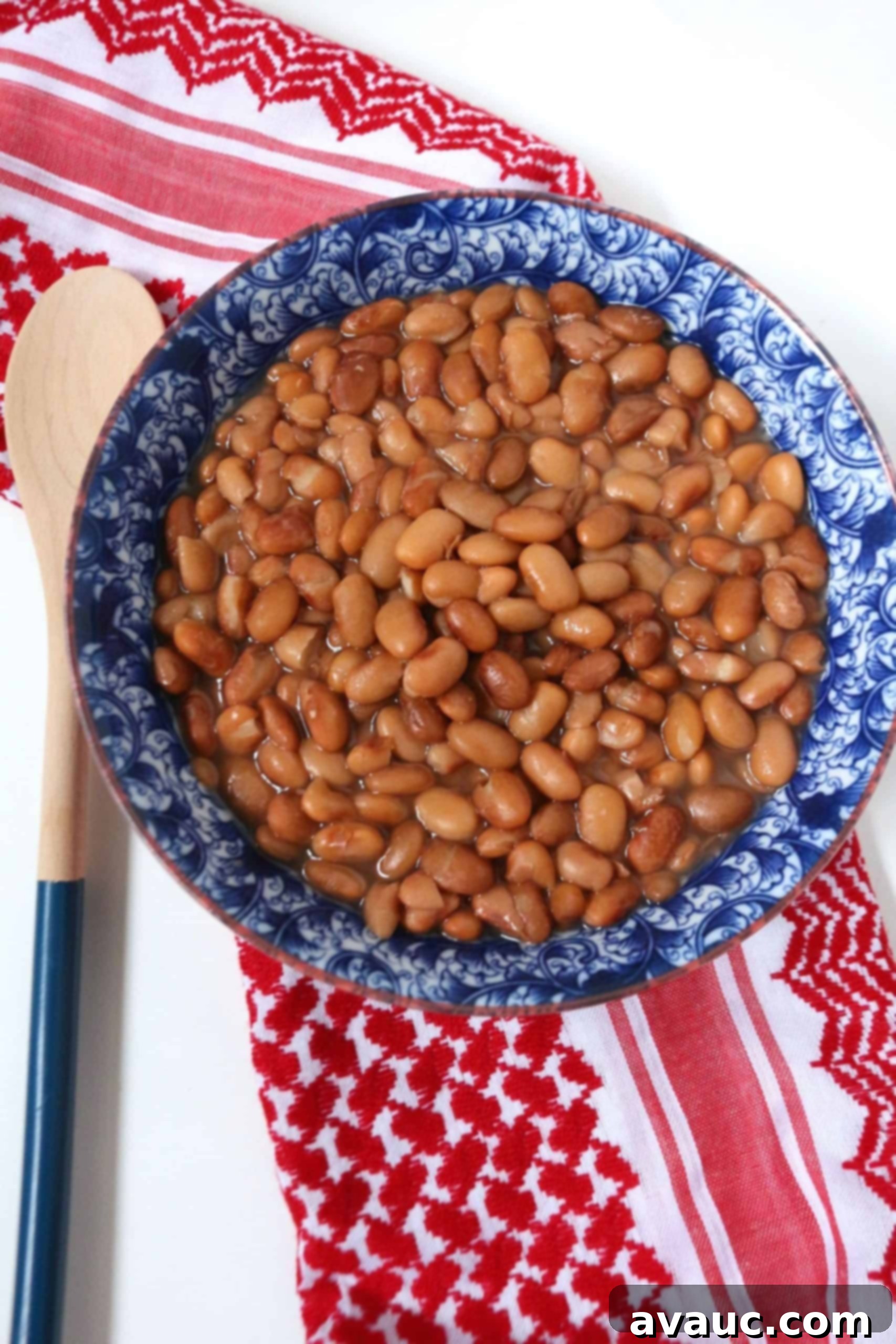Savory Refried Bean Tamales 5 Simple Instant Pot Pinto Beans (No Pre-Soaking) #instantpotpintobeans #pintobeans #beans