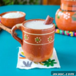 Creamy Rice Atole Dairy-Free Friendly 13 Rice atole in a Mexican mug garnished with a cinnamon stick