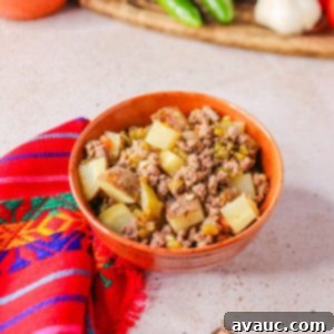 Bowl of Green Chile Picadillo (Chile verde con carne molida)