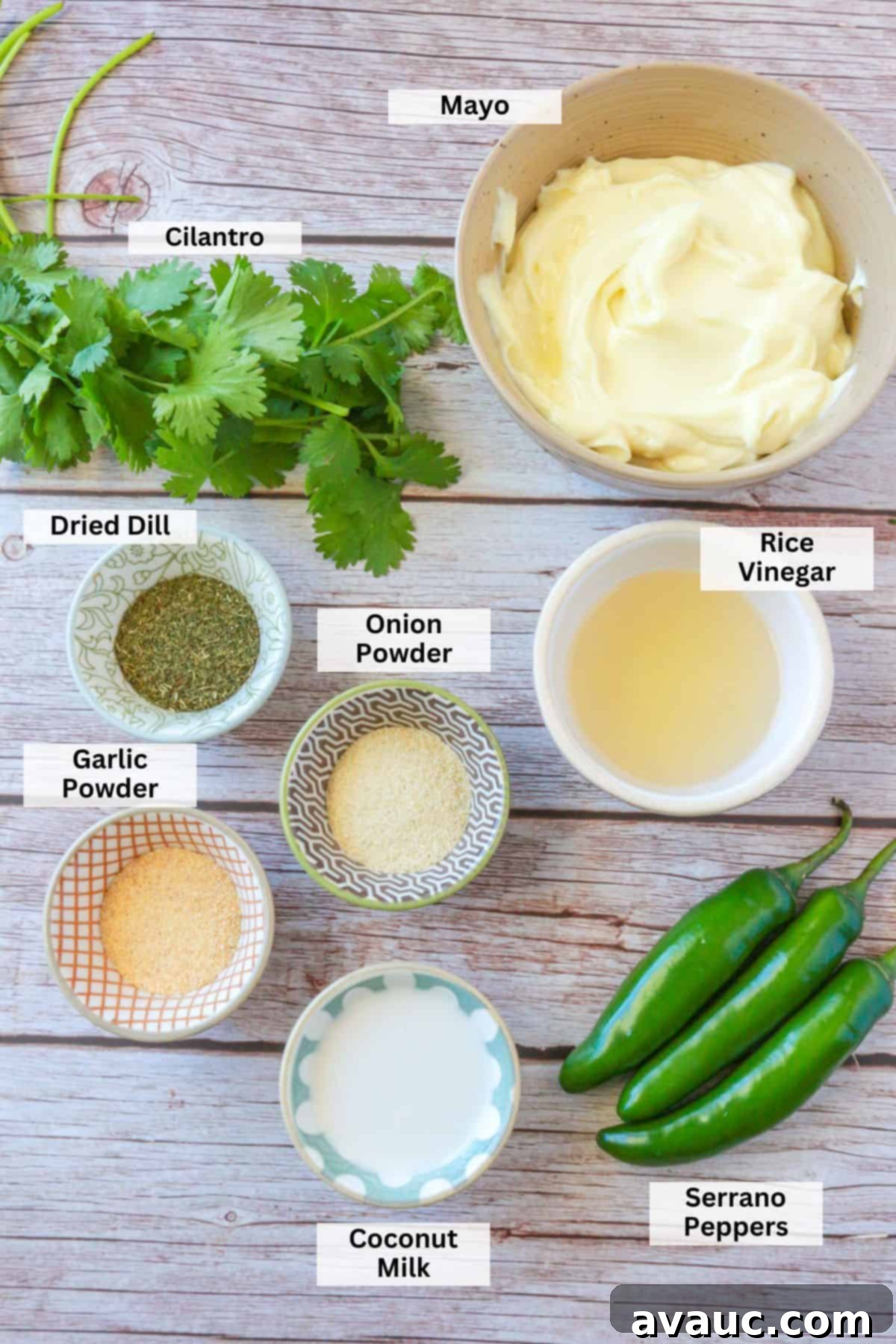 Vegan Creamy Serrano Ranch 3 A colorful array of fresh ingredients laid out for serrano ranch: creamy mayo, bright cilantro, fiery serranos, aromatic dried dill, garlic powder, onion powder, tangy rice vinegar, and rich coconut milk.