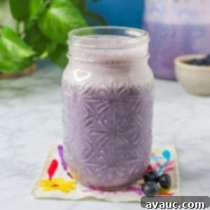 Dairy-Free Blueberry Velvet Agua Fresca 10 Side view of a glass of Creamy Blueberry Agua Fresca