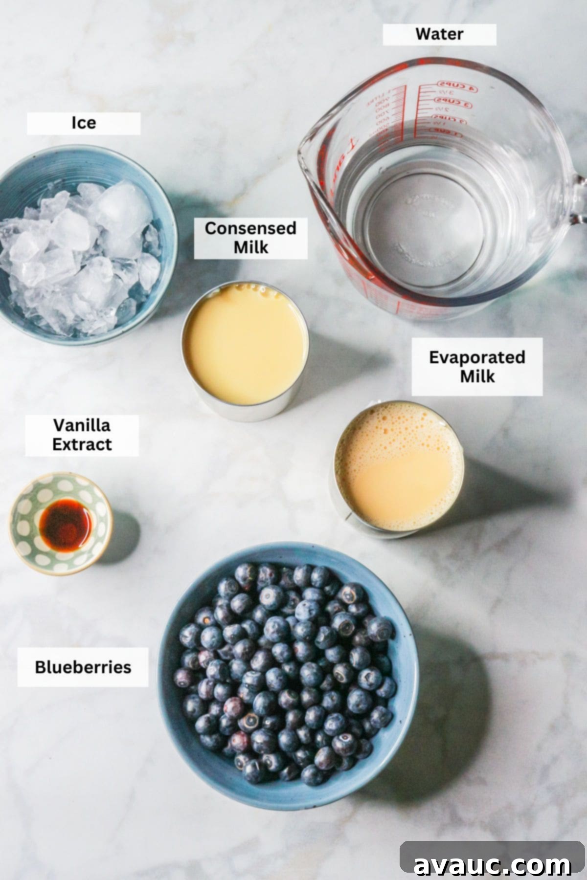 Dairy-Free Blueberry Velvet Agua Fresca 3 Ingredients for creamy blueberry agua fresca laid out: fresh blueberries, cold filtered water, a can of evaporated milk, a can of sweetened condensed milk, a bottle of vanilla extract, and ice cubes.