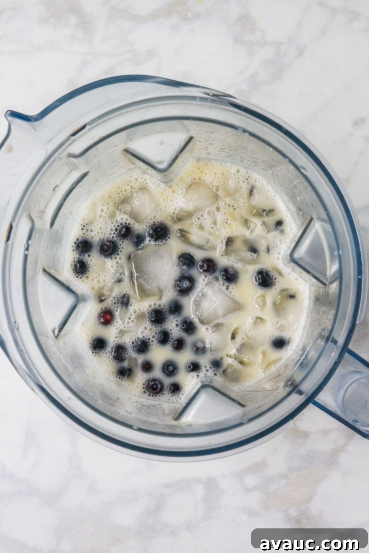 Dairy-Free Blueberry Velvet Agua Fresca 5 All ingredients for creamy blueberry agua fresca, including water, milks, vanilla, blueberries, and ice, placed inside a blender jar, ready for blending.