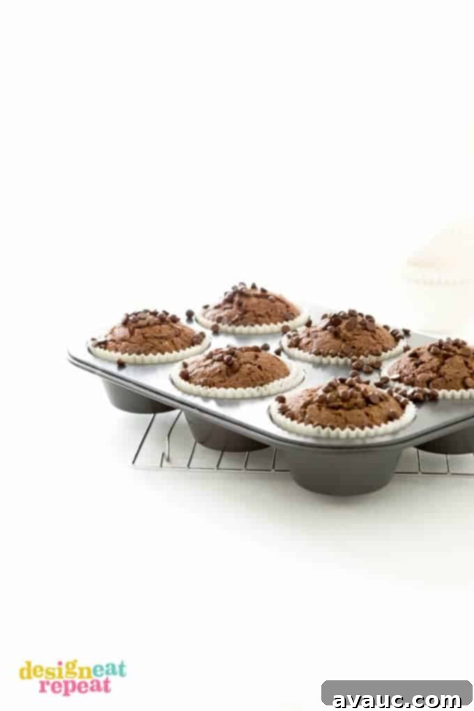 Jumbo cupcake pan filled with six baked chocolate zucchini muffins.