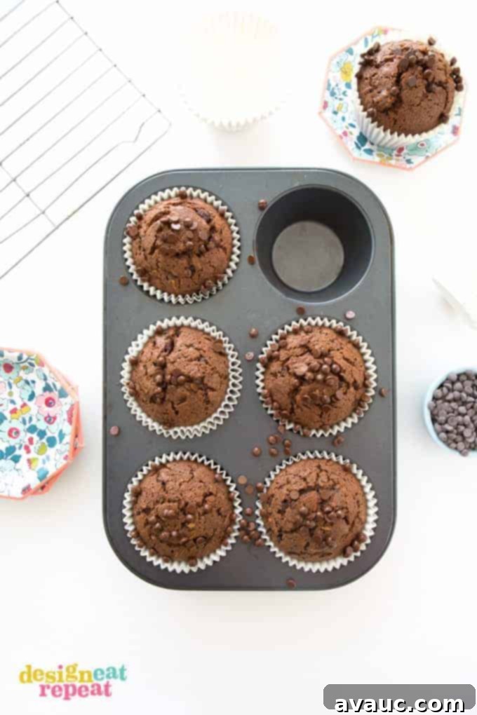 Overhead shot of six Sumbo Double Chocolate Zucchini Muffin in cupcake pan.