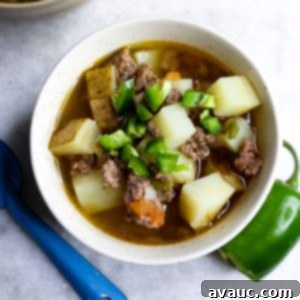 Jalapeño Ground Beef Stew 10 Bowl of Caldillo de Carne Molida, a hearty Mexican ground beef stew.