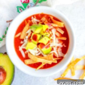 Aztec Tortilla Soup 12 Sopa de Tortilla Azteca top view, a classic Mexican tortilla soup with crispy strips and fresh garnishes.