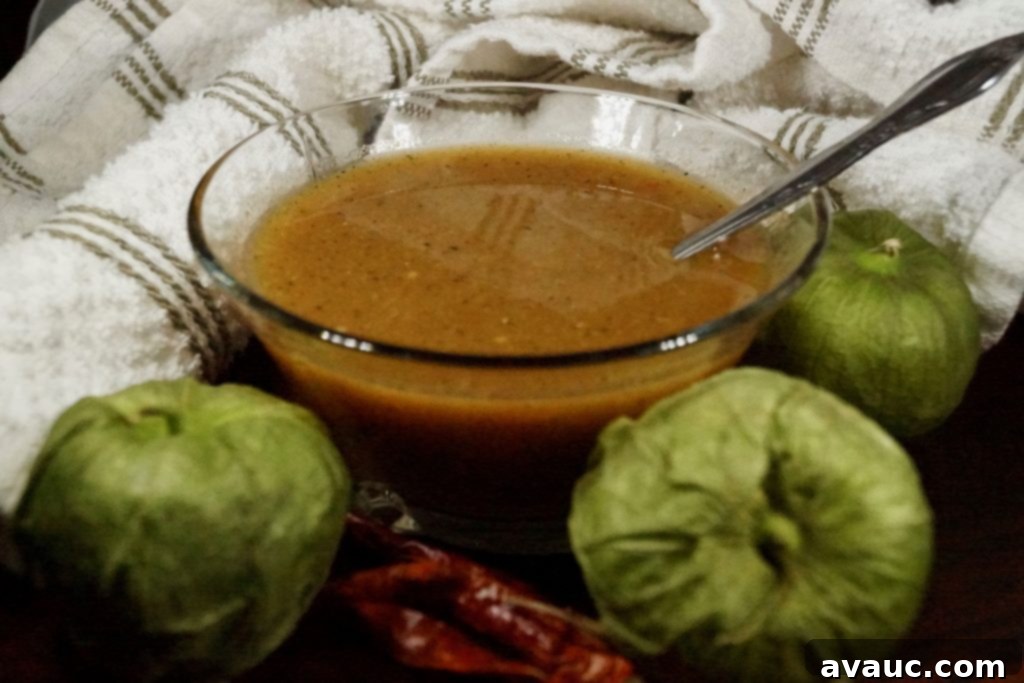 Deep red Roasted Tomatillo Salsa with Chile de Arbol in a serving bowl, showcasing its smooth texture.