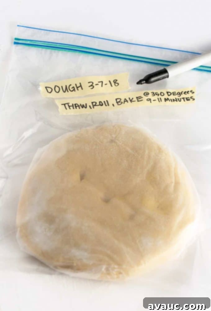 Mastering Flawless Cut Out Sugar Cookies 21 Sugar cookie dough prepared for freezing, showing different storage methods