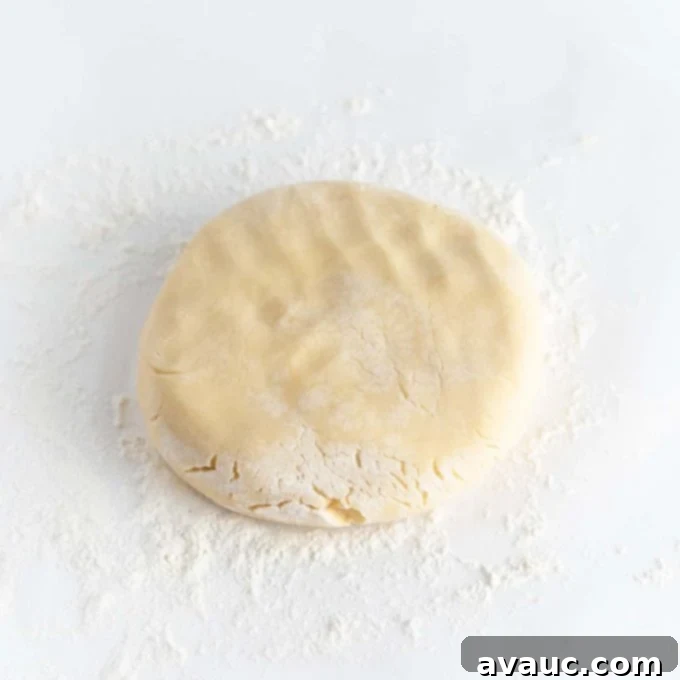 Mastering Flawless Cut Out Sugar Cookies 10 Sugar cookie dough gently pressed into a thick, uniform disc
