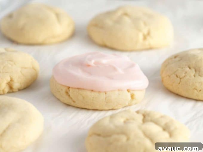 Various Decorated No Roll Sugar Cookies