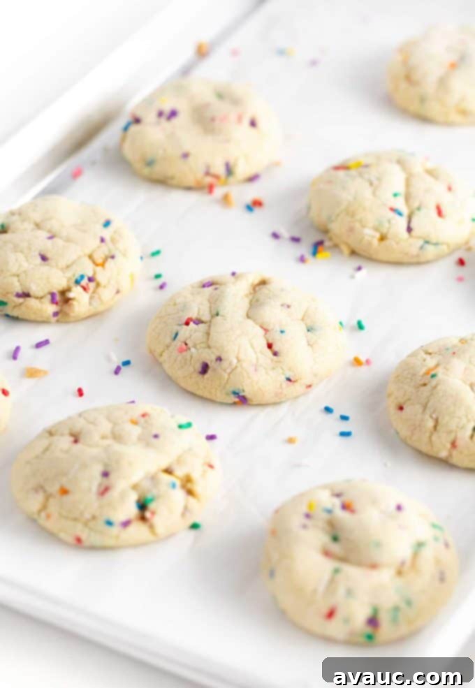Baking tray of baked sugar cookies with sprinkles fresh from the oven