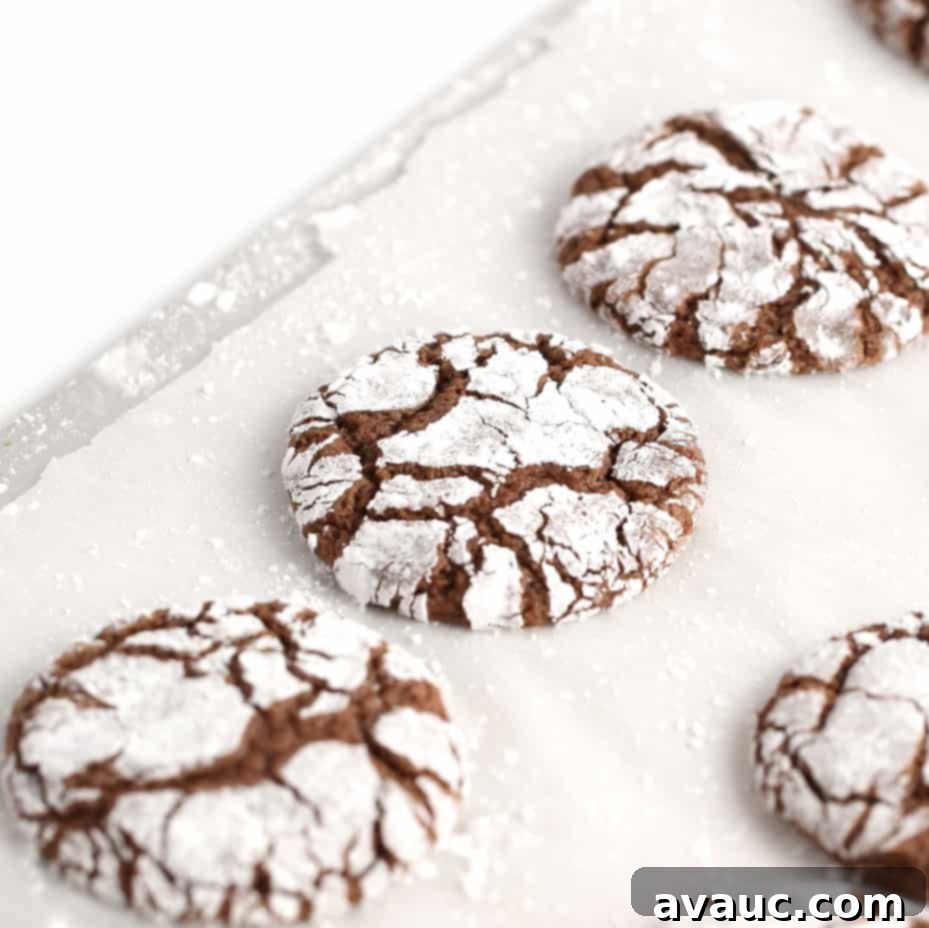 Brownie Chocolate Cookie - a favorite Christmas cookie recipe