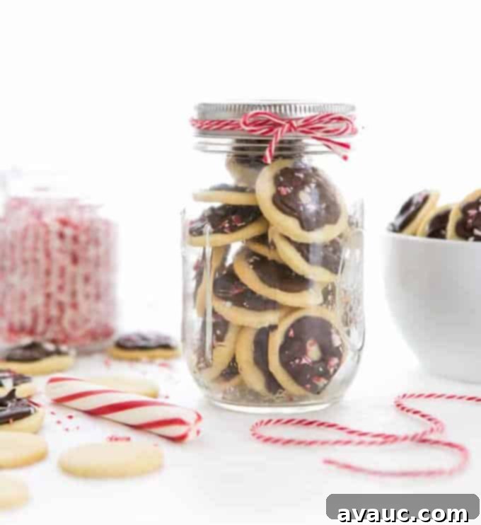 Peppermint wafer butter cookies in jar gift - a favorite Christmas cookie recipe