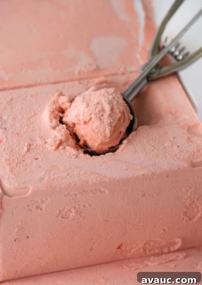 A glass of raspberry sherbet punch, garnished with fresh raspberries and a sprig of mint