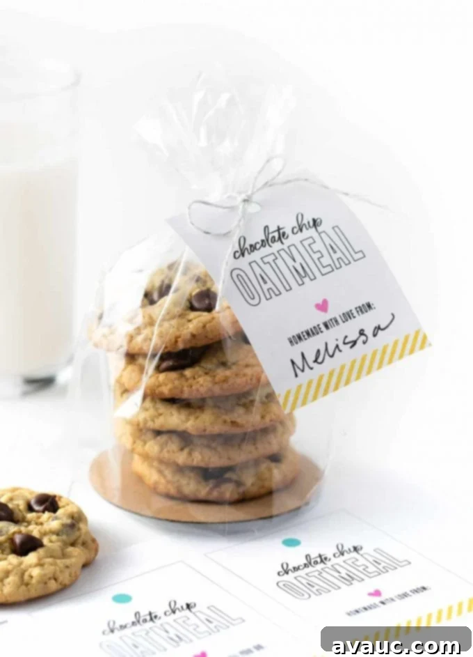 Gift bag of chewy oatmeal chocolate chip cookies with printable cookie tag