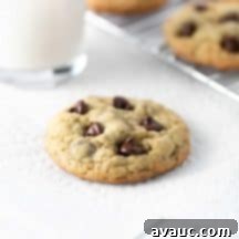 Gooey Chocolate Chip Oatmeal Chews 13 img 18834 12
