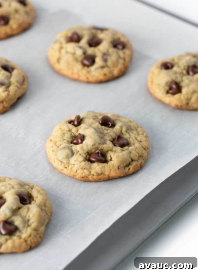 Baking pan of chewy oatmeal chocolate chip cookies