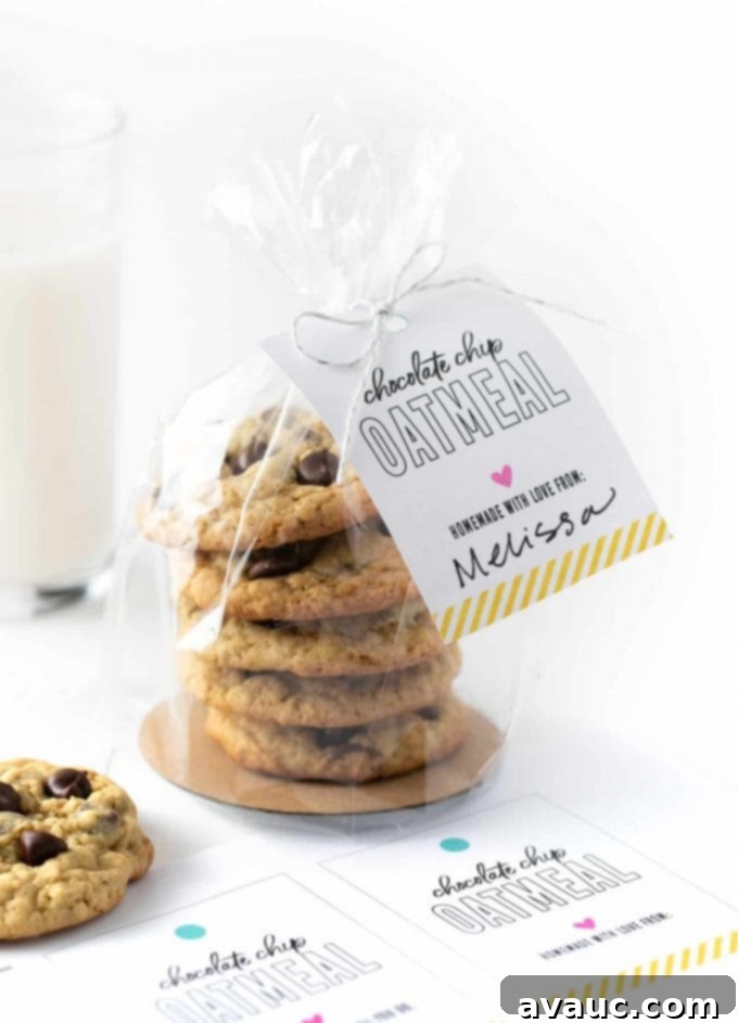 Charming Printable Cookie Gift Tags 2 Plastic bag of chocolate chip oatmeal cookies with a printable cookie gift tag tied with twine