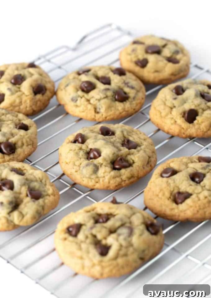 Charming Printable Cookie Gift Tags 3 Close-up of a variety of colorful printable cookie gift tags for different cookie types